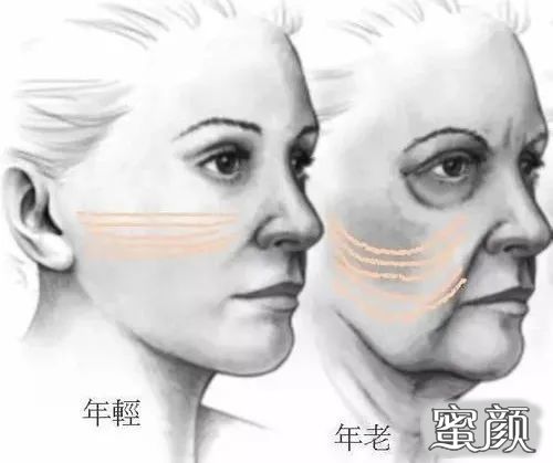 https://img.yiyiaimei.com/mnt/timg/201202/1P242H40-0.jpg