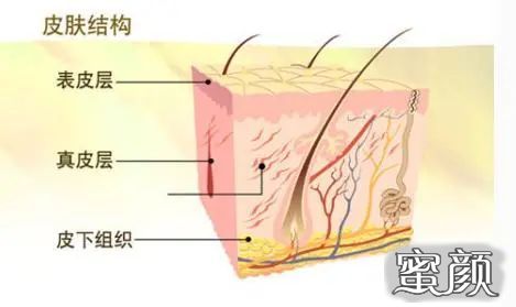 案例图片