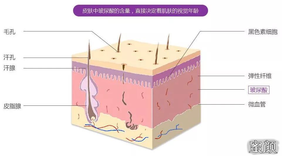 案例图片