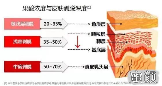 案例图片