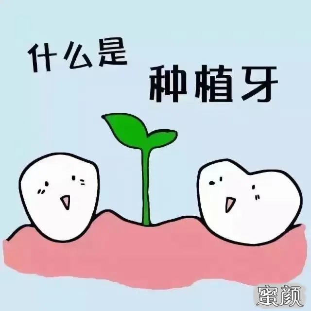 案例图片