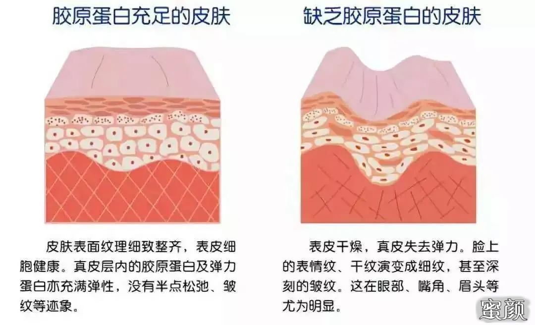 案例图片