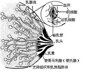 案例图片