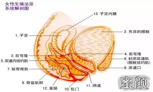 案例图片