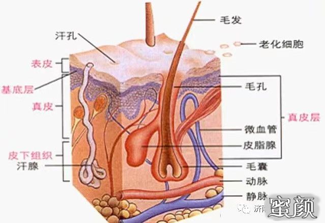 案例图片