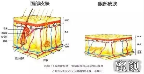 案例图片