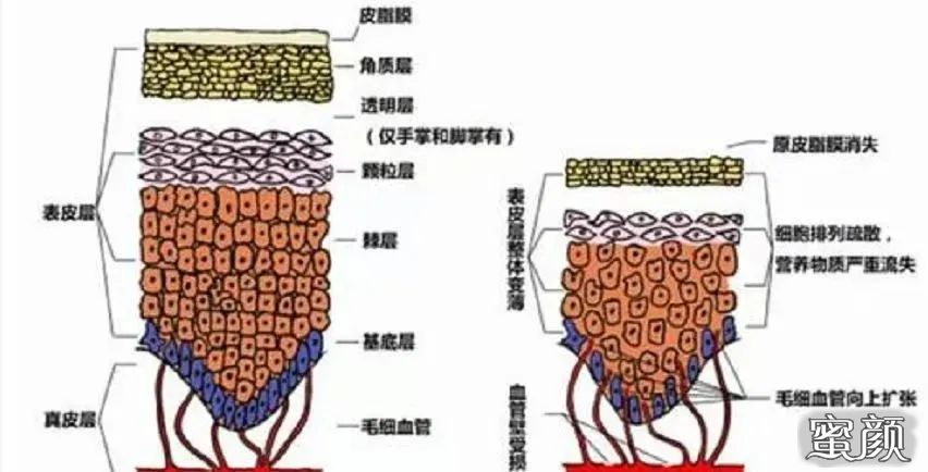 案例图片