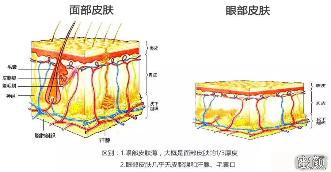 案例图片