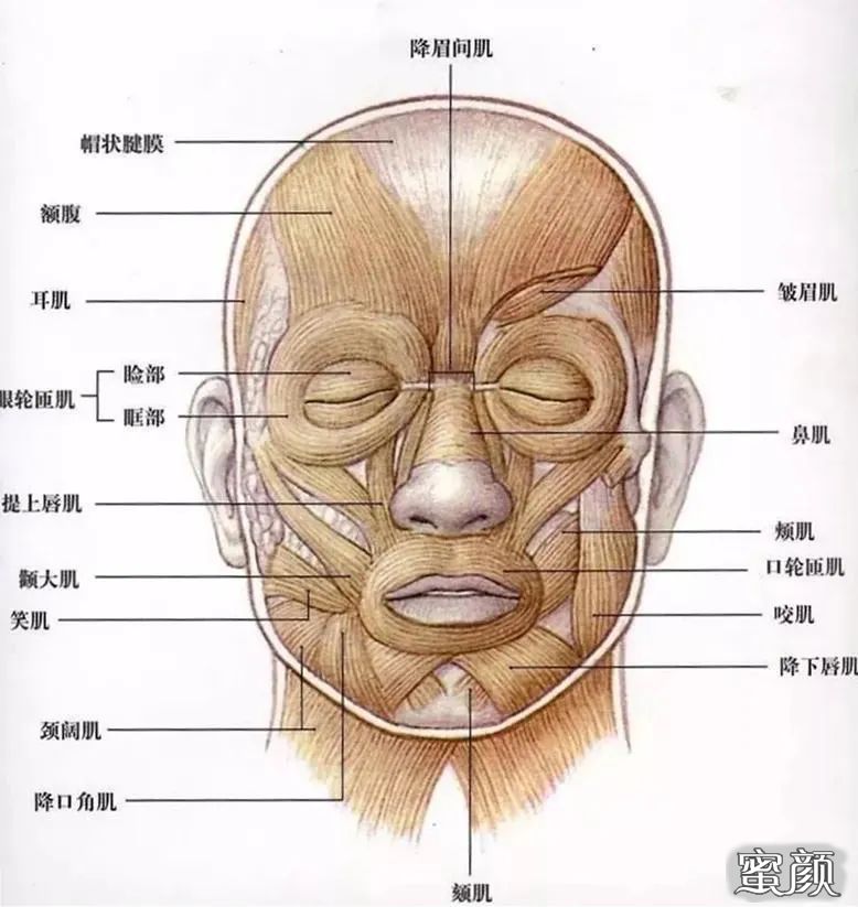 案例图片