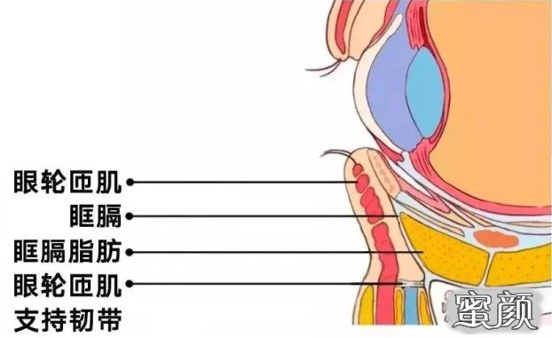 案例图片