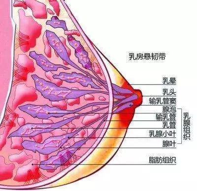 案例图片