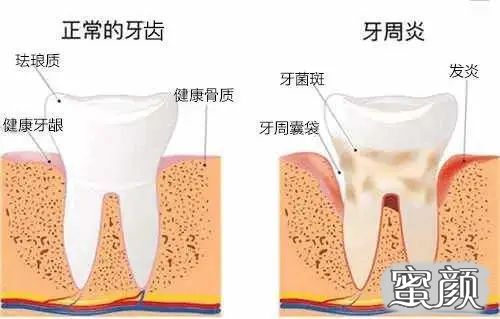 案例图片