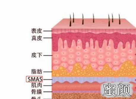 案例图片