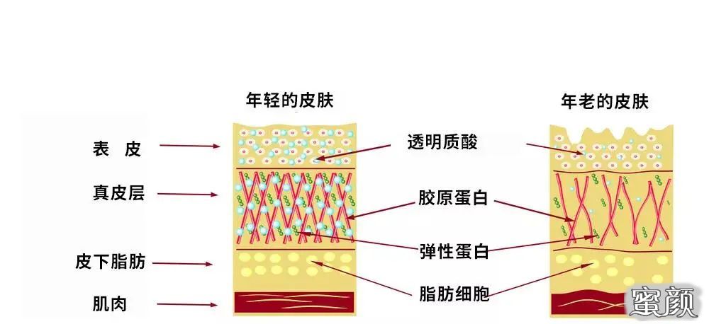 案例图片