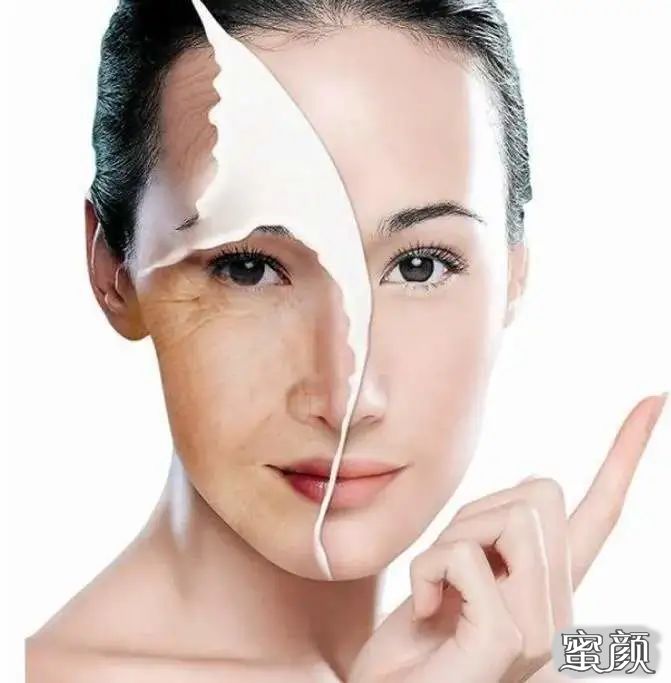 案例图片