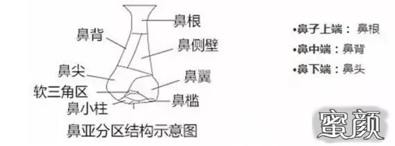 案例图片