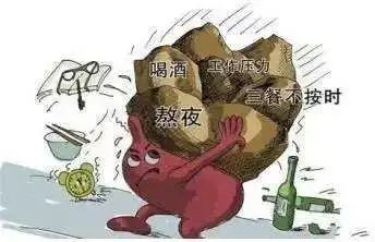 案例图片