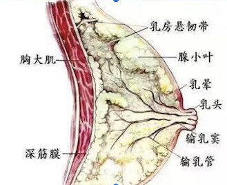 案例图片