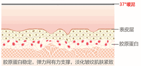 案例图片