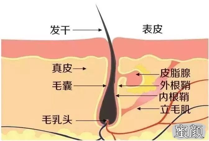 案例图片