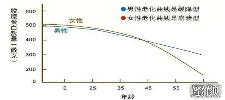 案例图片