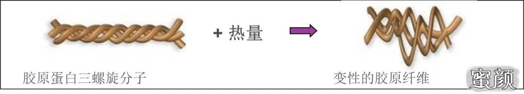 案例图片