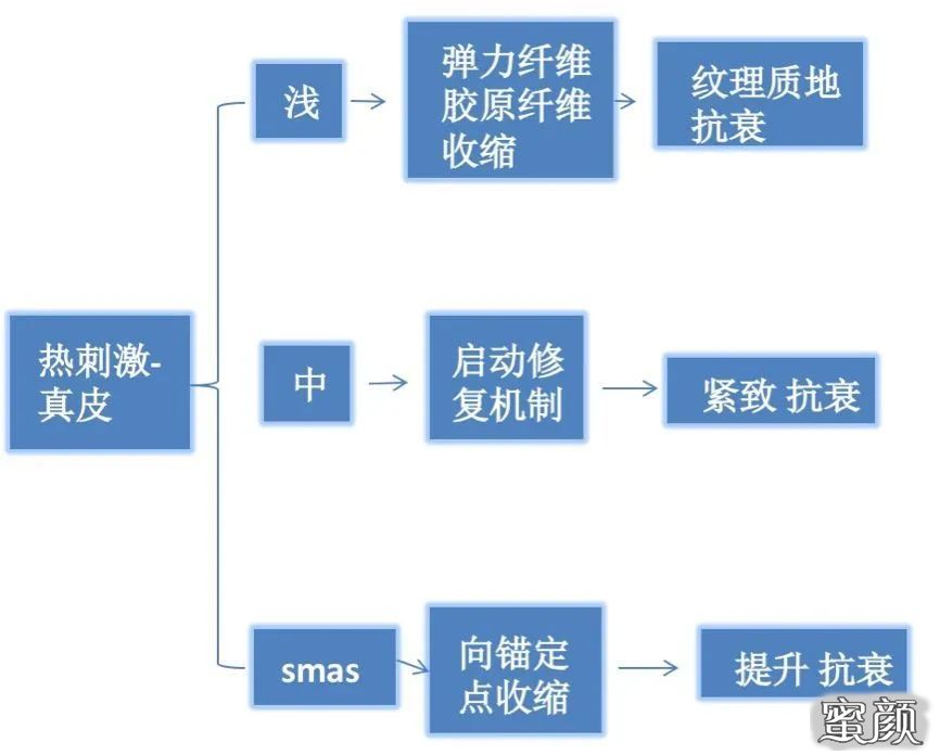 案例图片