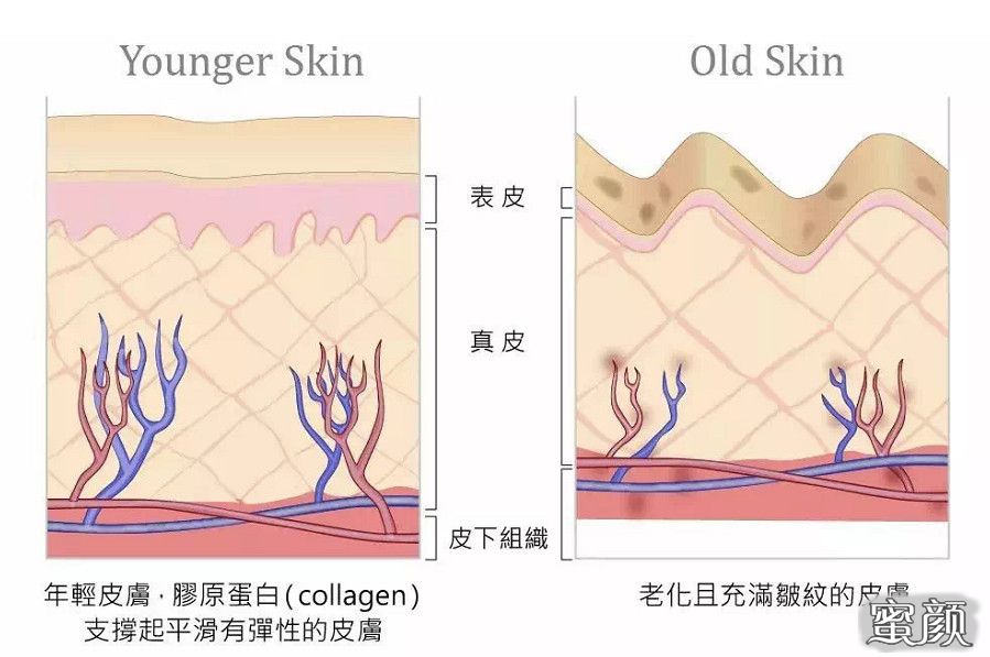 案例图片