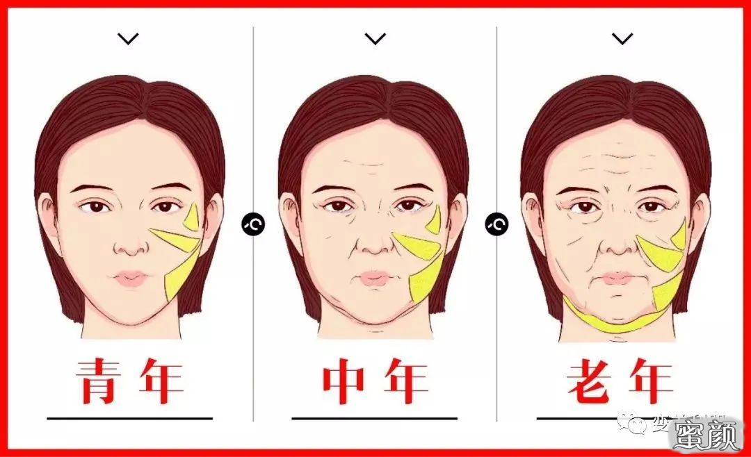 案例图片