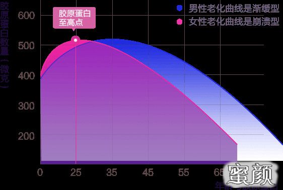 案例图片