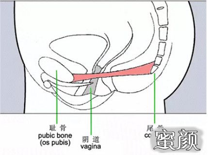 案例图片