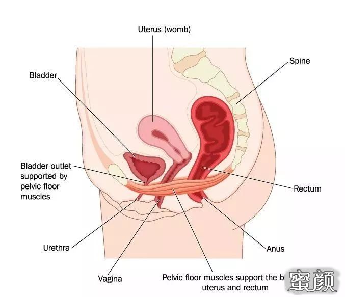 案例图片