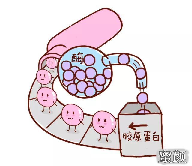 案例图片