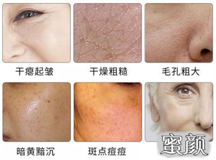 案例图片