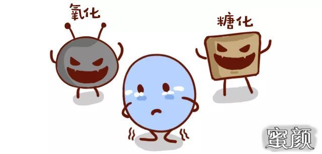 案例图片
