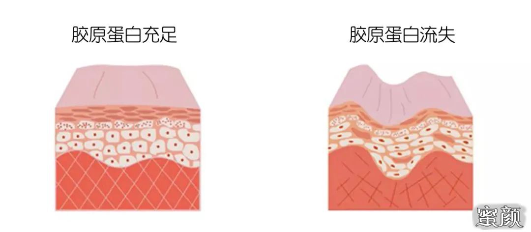 案例图片
