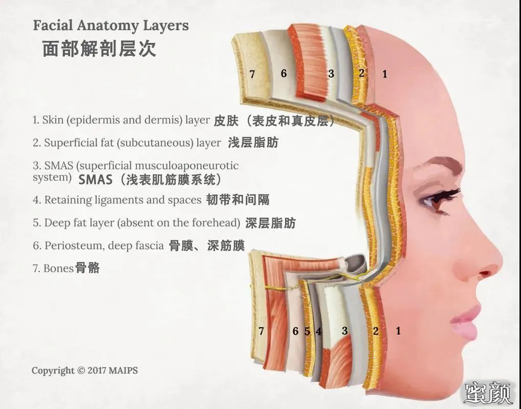 https://img.yiyiaimei.com/mnt/timg/210106/125955O33-0.jpg