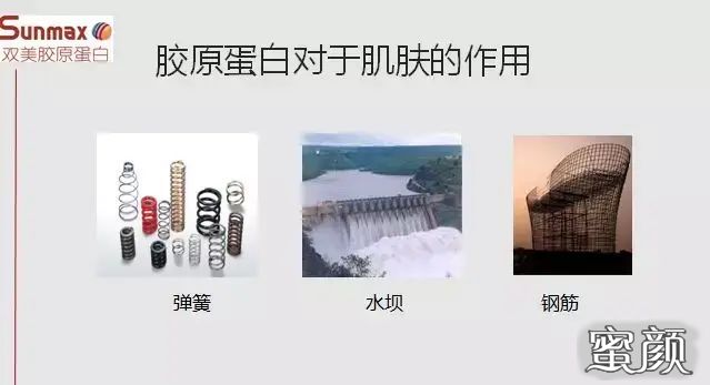 https://img.yiyiaimei.com/mnt/timg/210106/15101S162-5.jpg