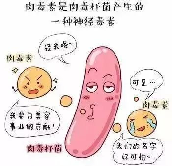 案例图片