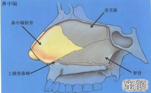 案例图片