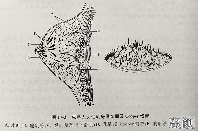 案例图片