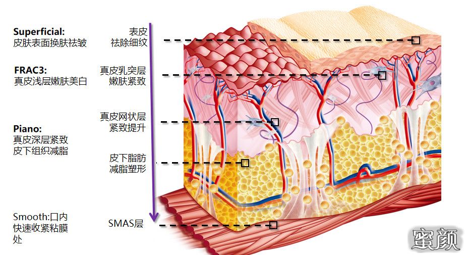https://img.yiyiaimei.com/mnt/timg/210111/16040U439-2.jpg