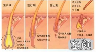 案例图片