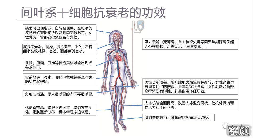 案例图片