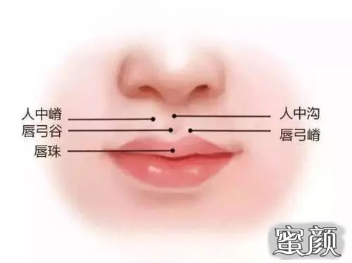案例图片
