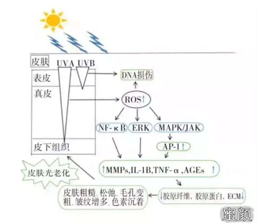 案例图片