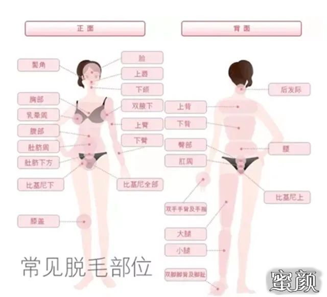 案例图片