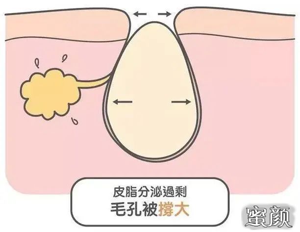 案例图片