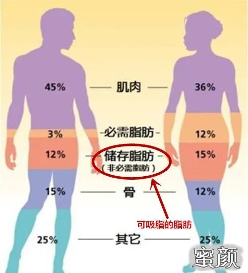 https://img.yiyiaimei.com/mnt/timg/210118/162552F33-1.jpg