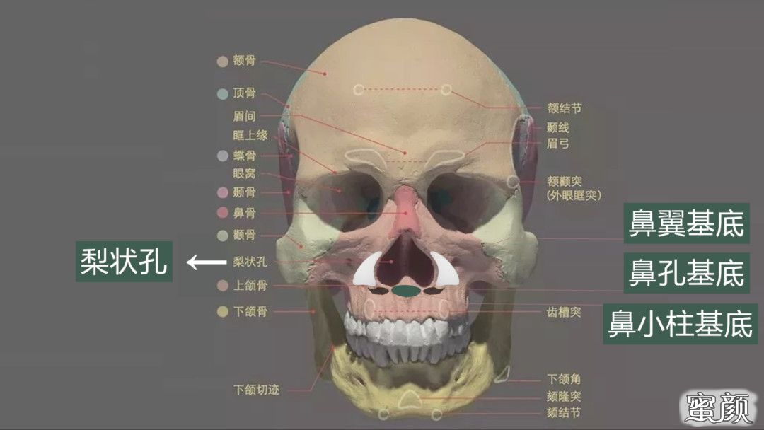 案例图片